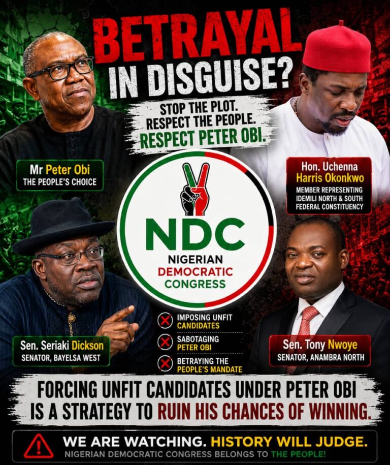 How Political Interests Undermine Peter Obi’s Stronghold